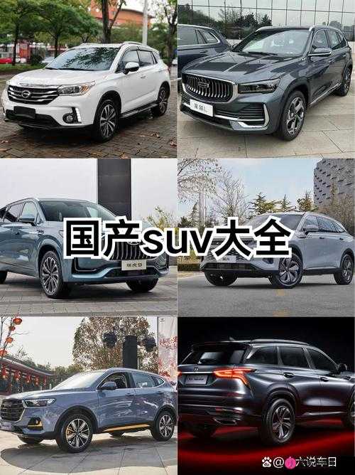 国产 SUV 精二区 69 ：独特魅力引领汽车新潮流